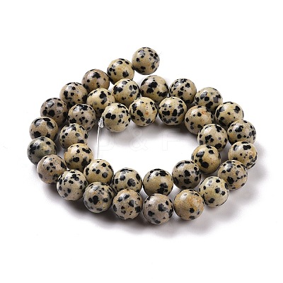 Natural Dalmatian Jasper Beads Strands G-Q462-10mm-30-1