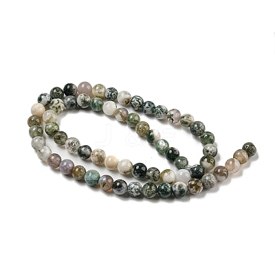 Natural Tree Agate Round Gemstone Beads Strands X-G-R255-6mm-1