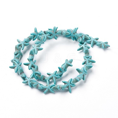 Synthetic Turquoise Beads Strands TURQ-L029-03A-1