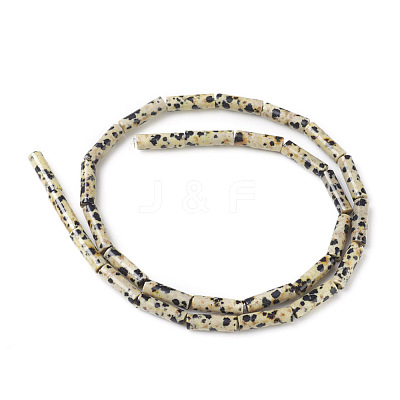 Natural Dalmatian Jasper Beads Strands G-F247-21-1