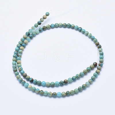 Natural Aqua Terra Jasper Beads Strands G-E444-14A-4mm-1