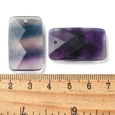 Natural Fluorite Pendants G-Z071-04C-1