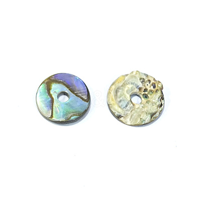 Natural Paua Shell/Abalone Shell Beads SSHEL-E551-31-1
