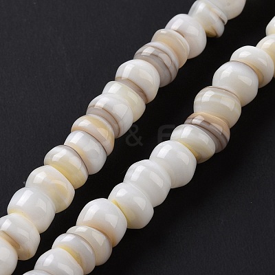 Natural Cultured Freshwater Shell Beads Strands SHEL-F002-01D-1
