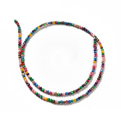 Dyed Natural Freshwater Shell Beads Strands SHEL-G014-05A-01-1