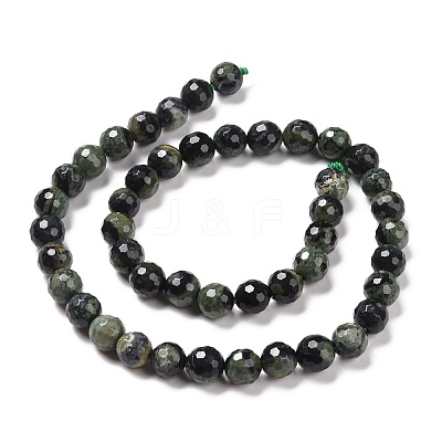 Natural Kambaba Jasper Beads Strands G-E571-04B-1