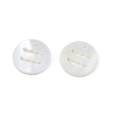 Natural Freshwater Shell Charms SHEL-N027-10E-1