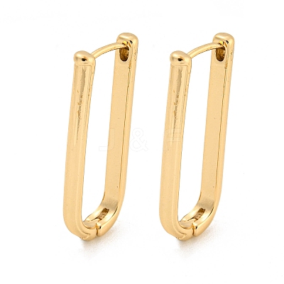 Alloy Hoop Earring EJEW-P269-19KCG-1