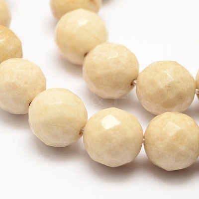 Natural Fossil Round Bead Strands G-O151-02-6mm-1