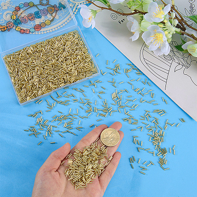 3000Pcs Glass Bugle Beads GLAA-PA0001-85-1
