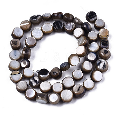 Natural Freshwater Shell Beads Strands SHEL-S276-110B-01-1