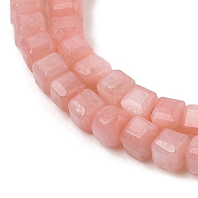 Natural Freshwater Shell Dyed Beads Strands SHEL-R100-11A-01-1