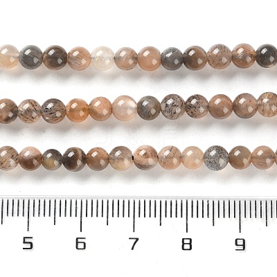 Natural Black Sunstone Beads Strands G-U009-A01-01-1