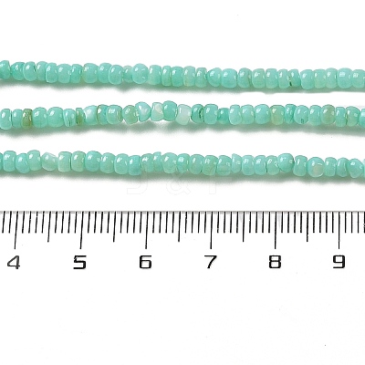 Natural Freshwater Shell Beads Strands SHEL-P017-01B-08-1