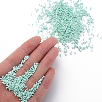 13/0 Glass Seed Beads SEED-T005-14A-A19-1