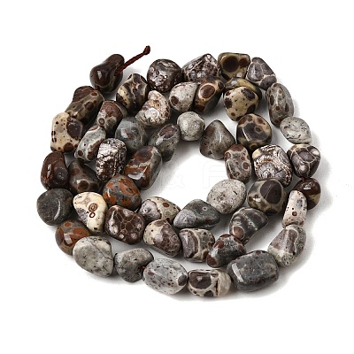 Natural Leopard Skin Jasper Beads Strands GG-CBAC13F-A01-01-1