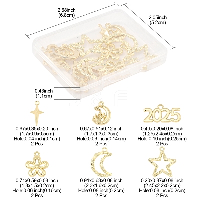 12Pcs 6 Styles Alloy Pendants FIND-FS0003-38G-1