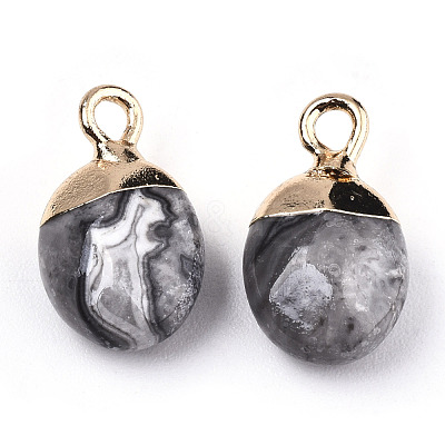 Natural Map Stone/Picasso Stone/Picasso Jasper Charms G-N326-58B-1