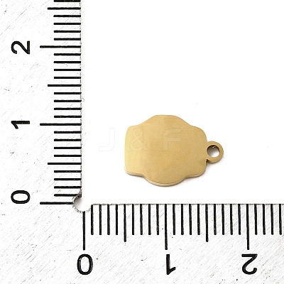 304 Stainless Steel Enamel Charms STAS-I336-04G-02-1