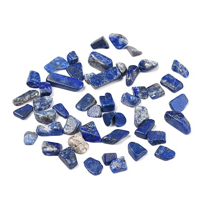 Natural Lapis Lazuli Beads LS-X-G-I304-02-1
