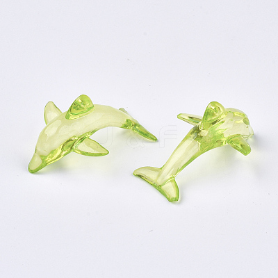 Transparent Acrylic Pendants TACR-S133-127-1