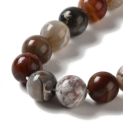 Natural Mexican Lace Agate Beads Strands G-E578-02A-1