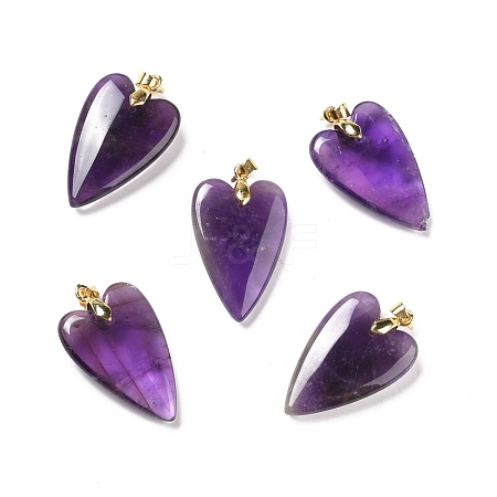 Natural Amethyst Pendants G-E570-01G-05-1