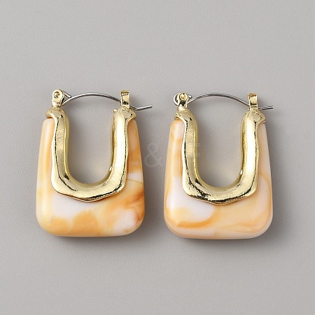 Acrylic Rectangle Hoop Earrings EJEW-WH0012-039D-1