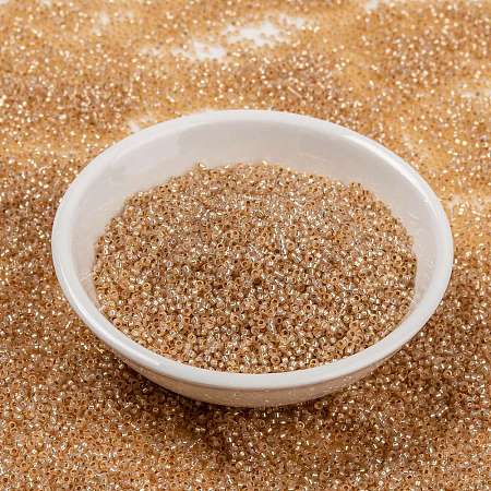 MIYUKI Round Rocailles Beads X-SEED-G009-RR0580-1