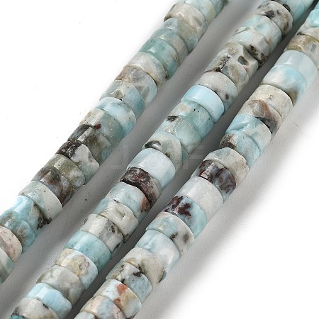 Natural Larimar Beads Strands G-Q024-B03-04-1