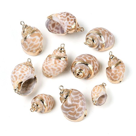 Electroplate Natural Spiral Shell Pendants SSHEL-N042-08-1