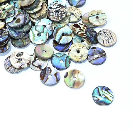 Natural Paua Shell/Abalone Shell Beads SSHEL-E551-31-1