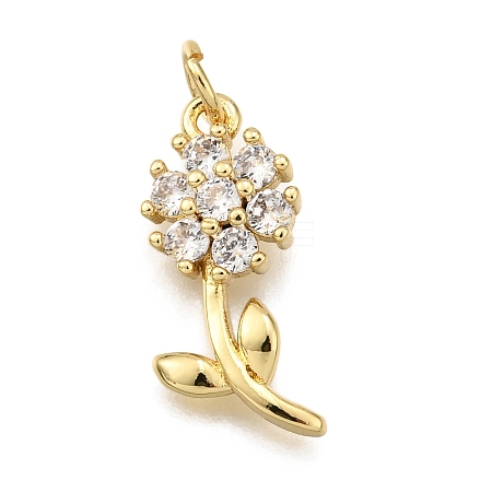 Rack Plating Brass Micro Pave Cubic Zirconia Pendants KK-K401-50B-G-1