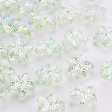 Transparent Acrylic Beads TACR-S154-45C-327-1