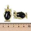 Natural Obsidian Pendant KK-F887-02G-17-3