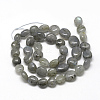 Natural Labradorite Beads Strands X-G-R445-8x10-20-2