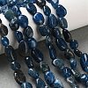 Natural Apatite Beads Strands G-L638-A02-01-1