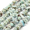 Natural Larimar Beads Strands G-P302-03-1