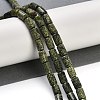 Natural Serpentine/Green Lace Stone Beads Strands G-H064-B01-01-2