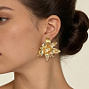 Zinc Alloy Stud Earrings for Women WGD1381-01-2