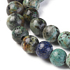 Natural African Turquoise(Jasper) Beads Strand G-K287-12-8mm-1-3