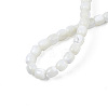 Natural Trochid Shell/Trochus Shell Beads Strands X-SSHEL-N034-121-B01-4