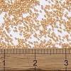 MIYUKI Delica Beads SEED-J020-DB2171-4