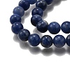 Round Natural Sodalite Beads Strands G-F222-39-10mm-4