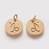 Ion Plating(IP) 304 Stainless Steel Pendants A-STAS-Q201-T445-10G-2