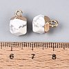 Natural Howlite Pendants G-N359-18G-14-3
