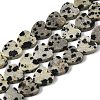 Natural Dalmatian Jasper Beads Strands X-G-M403-A31-03-2