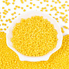 Baking Paint Glass Seed Beads SEED-N007-30F-2