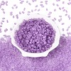 FGB Frosted Transparent Glass Seed Beads SEED-N013-06A-07-2