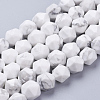 Natural Howlite Beads Strands G-J376-40-10mm-1